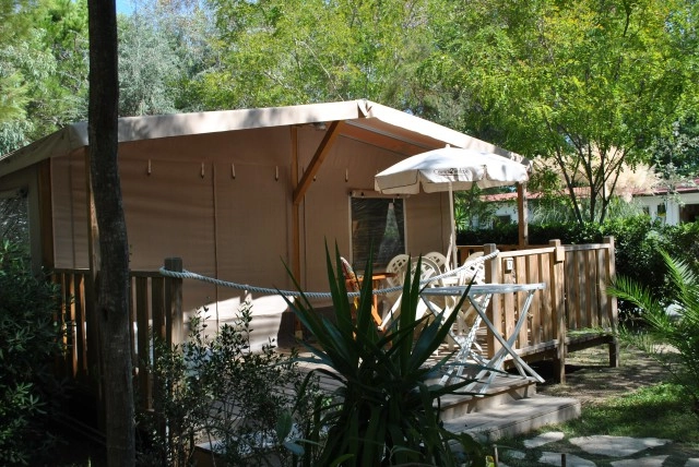 zobacz camping - zdjęcie 46