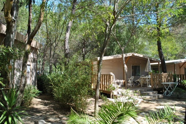 zobacz camping - zdjęcie 45