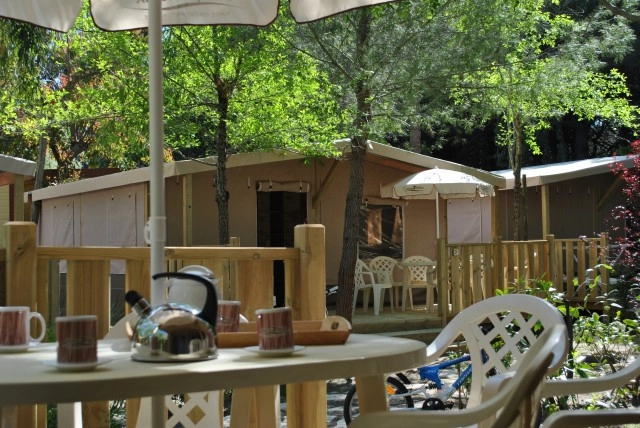 zobacz camping - zdjęcie 42