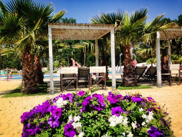 zobacz camping - zdjęcie 30