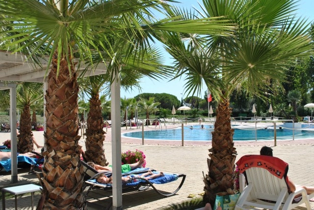 zobacz camping - zdjęcie 20