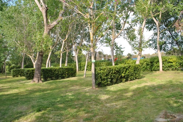 zobacz camping - zdjęcie 19