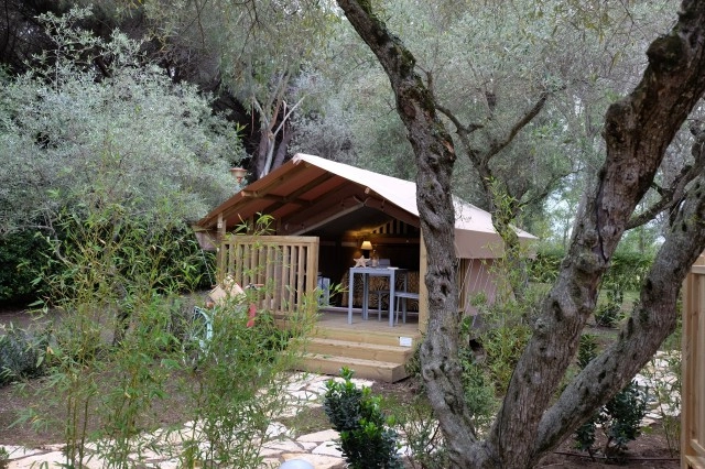 zobacz camping - zdjęcie 18