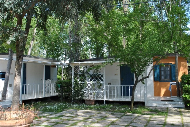 zobacz camping - zdjęcie 16