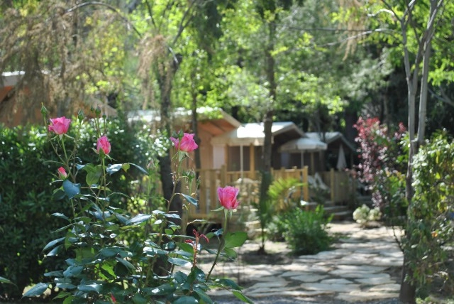 zobacz camping - zdjęcie 4