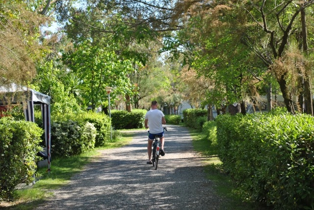 zobacz camping - zdjęcie 3