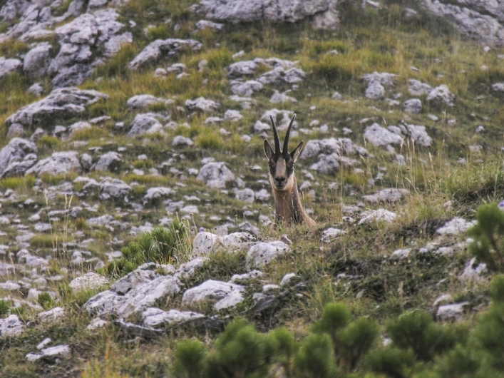 Campeggio Le Foci - zdjęcie 1