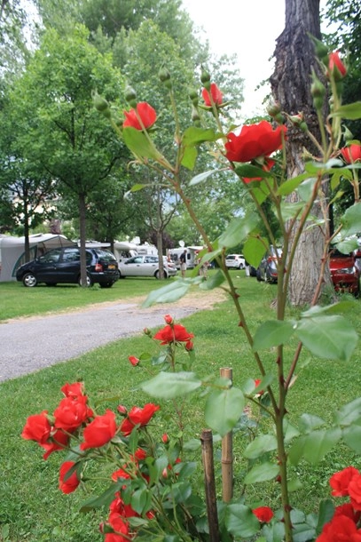 zobacz camping - zdjęcie 8