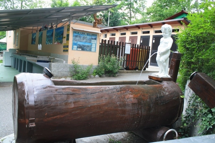 zobacz camping - zdjęcie 7