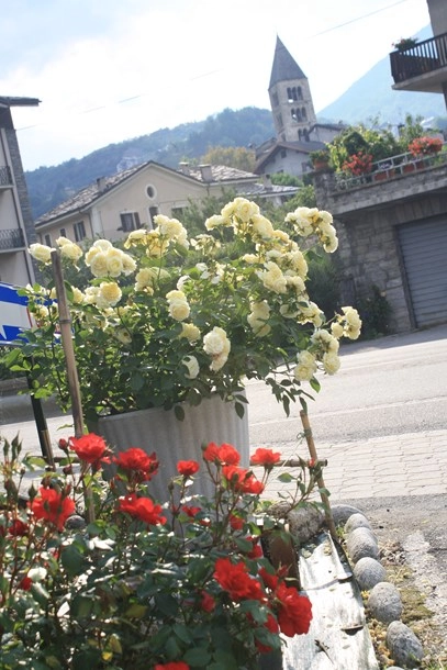 Campeggio Monte Bianco - zdjęcie 3