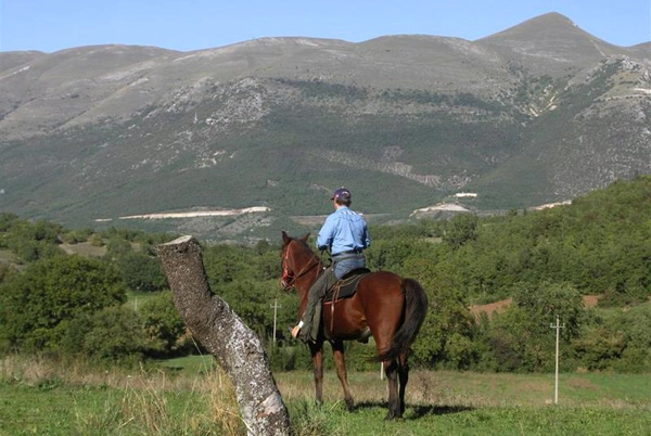 zobacz camping - zdjęcie 16