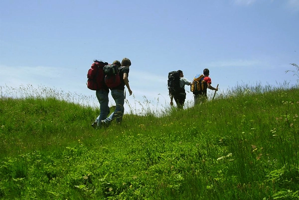 zobacz camping - zdjęcie 14