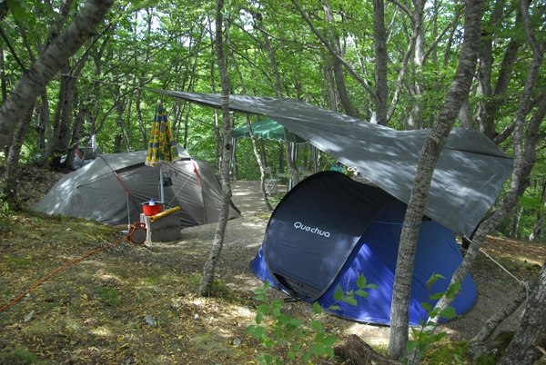 zobacz camping - zdjęcie 4