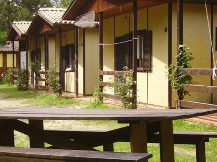 zobacz camping - zdjęcie 20