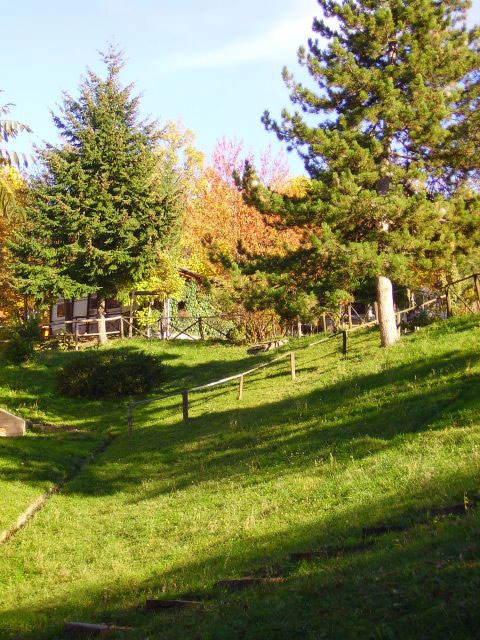 zobacz camping - zdjęcie 13