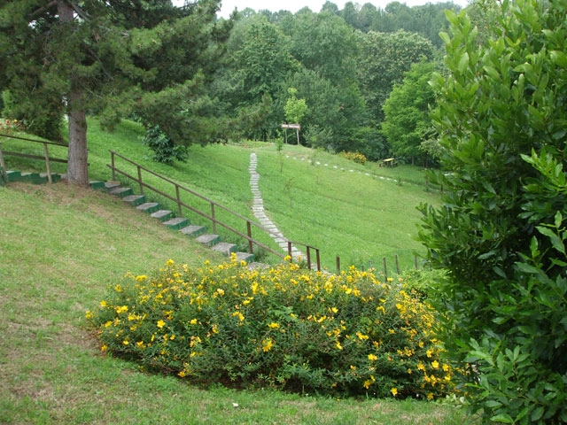 zobacz camping - zdjęcie 11