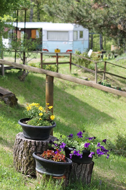 zobacz camping - zdjęcie 9