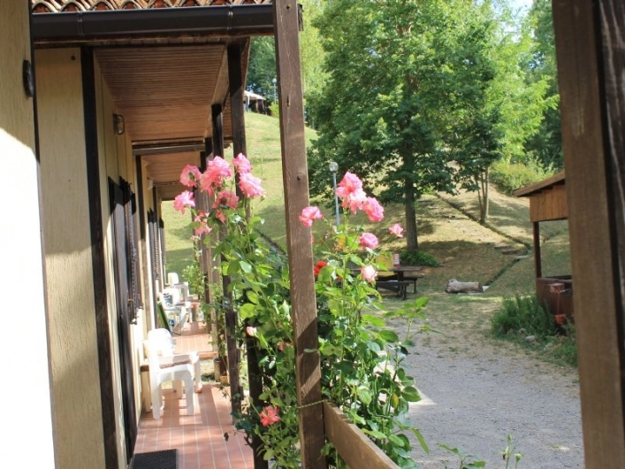 zobacz camping - zdjęcie 4