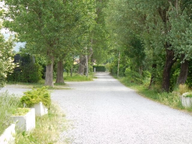zobacz camping - zdjęcie 2