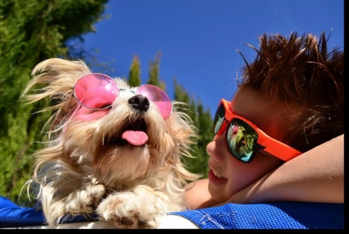 zobacz camping - zdjęcie 8