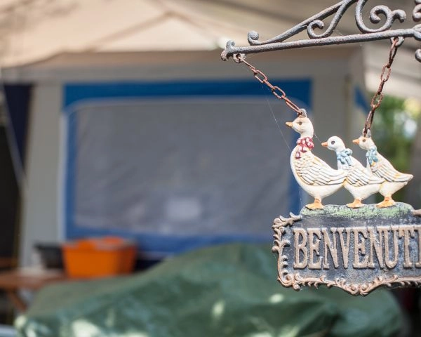 zobacz camping - zdjęcie 23