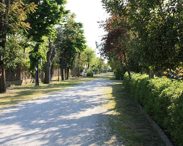 zobacz camping - zdjęcie 20