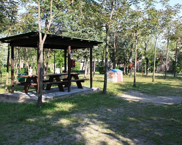 zobacz camping - zdjęcie 17