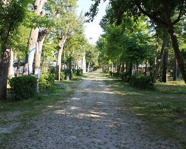 zobacz camping - zdjęcie 16