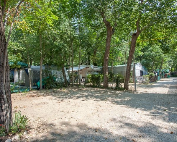 zobacz camping - zdjęcie 11