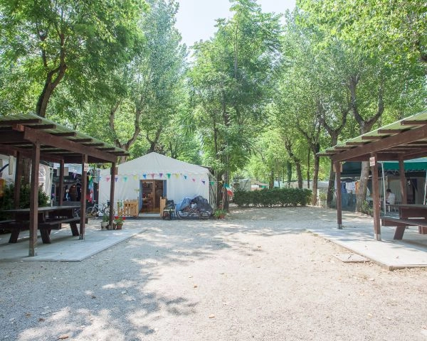 zobacz camping - zdjęcie 9