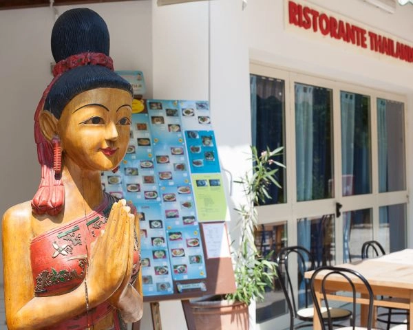 zobacz camping - zdjęcie 6