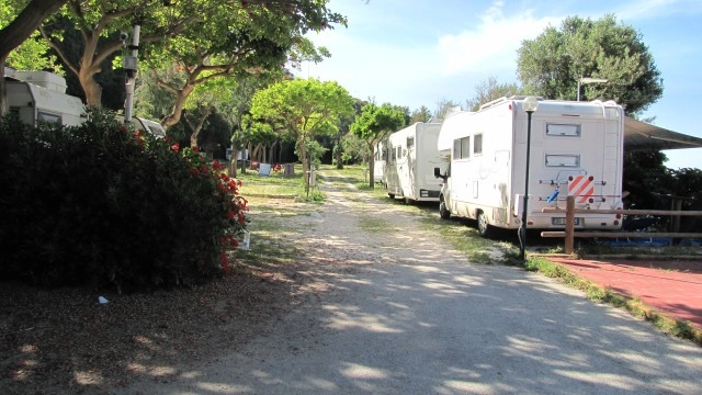 zobacz camping - zdjęcie 22