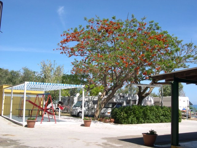 zobacz camping - zdjęcie 2