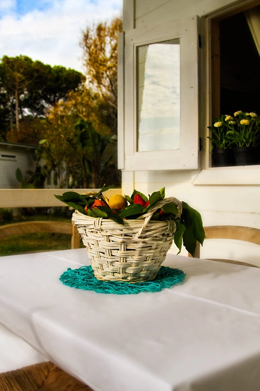 Campeggio Nettuno - zdjęcie 1