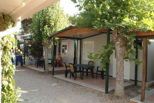 zobacz camping - zdjęcie 12