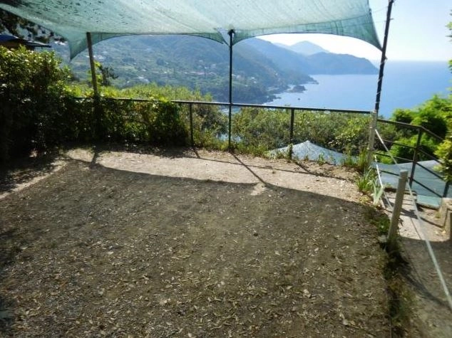 zobacz camping - zdjęcie 18