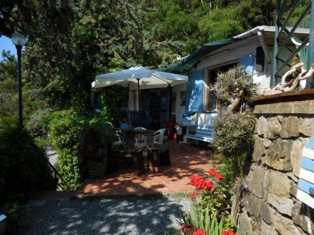 zobacz camping - zdjęcie 10