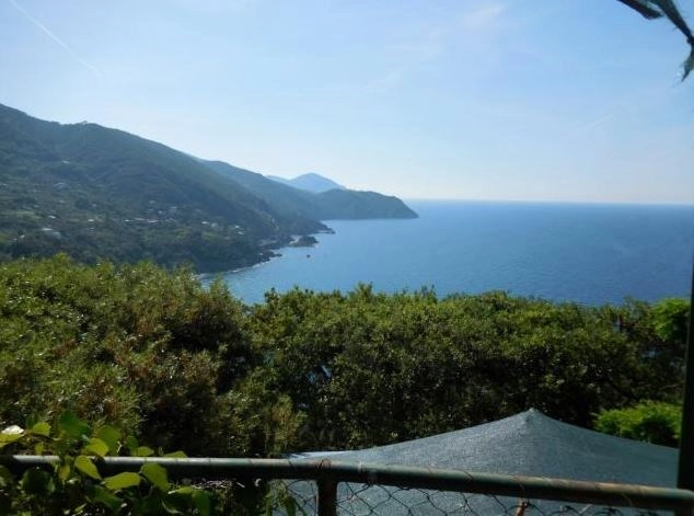 zobacz camping - zdjęcie 9