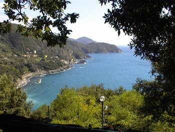 zobacz camping - zdjęcie 2