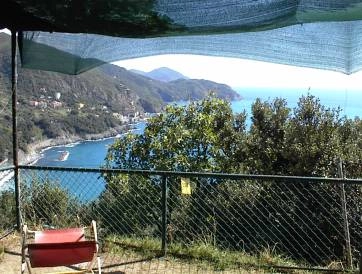 zobacz camping - zdjęcie 1