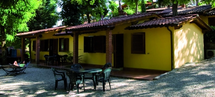 zobacz camping - zdjęcie 10