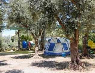 zobacz camping - zdjęcie 21