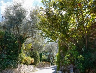 zobacz camping - zdjęcie 20