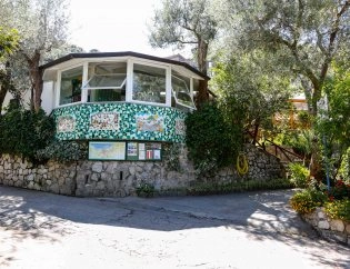 zobacz camping - zdjęcie 16