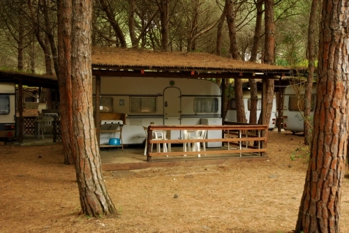 zobacz camping - zdjęcie 31