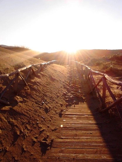 zobacz camping - zdjęcie 19