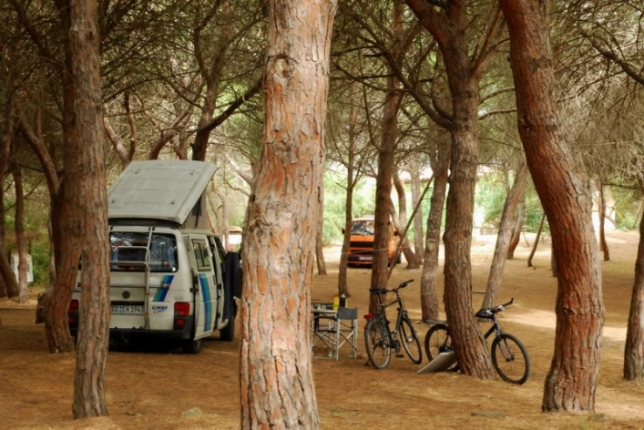 zobacz camping - zdjęcie 10