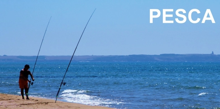 zobacz camping - zdjęcie 3