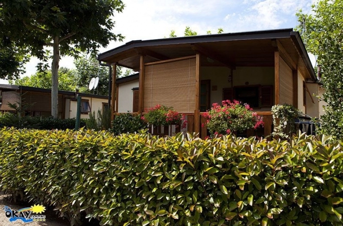 zobacz camping - zdjęcie 16