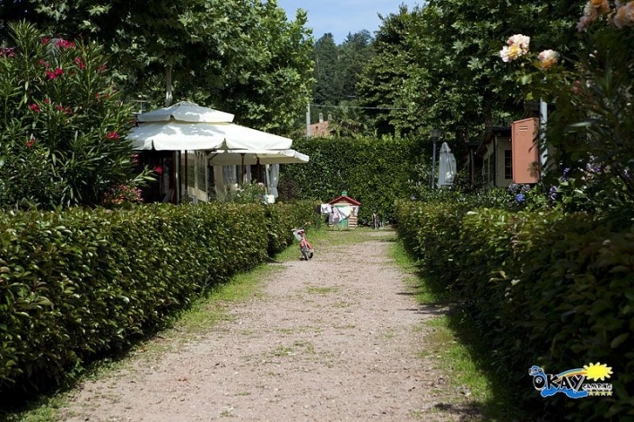 zobacz camping - zdjęcie 12